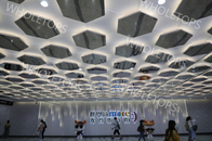1100 décoratifs hexagonaux panneau de plafond en aluminium pour le centre commercial de luxe